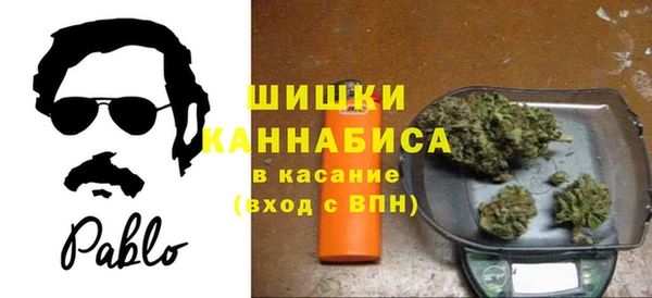 крисы Белоозёрский